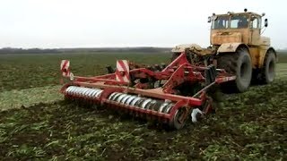 Powerful Kirovec K  701  Horsch Terrano cultivating [upl. by Ssirk]