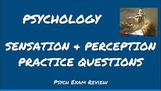 Psychology Review Questions  Sensation amp Perception [upl. by Annamaria]