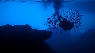 Blue Room Curacao  Great Hiking and Snorkeling on Curacao [upl. by Nilecoj305]