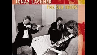 Ignaz Lachner 18071895 The Six Trios for Violin Viola amp Piano  Trio in BFlat Major Op 37 [upl. by Siegel]