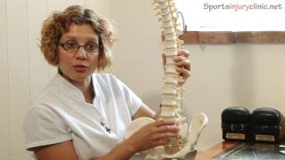 Sacroiliac Joint Pain Si Joint  A Chiropractors View [upl. by Buonomo192]