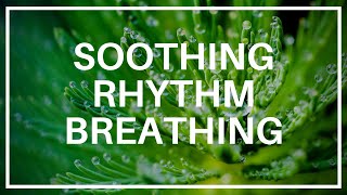 Soothing Rhythm Breathing  Compassion Focused Therapy Exercise LewisPsychology [upl. by Adnerak289]