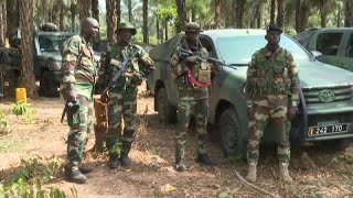 MDFC rebel base captured in Casamance by Senegalese military operation [upl. by Brittney]