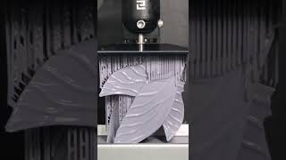 Massive Moth Wings Timelapse shorts timelapse relaxing [upl. by Tamra]