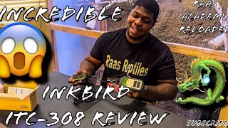 WOW Amazing RAAS REPTILES INKBIRD ITC308 REVIEW [upl. by Atnoek]