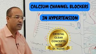 Calcium Channel Blockers in Hypertension🫀 [upl. by Jacobsohn194]