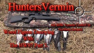 Air Rifle Hunting Wood Pigeon Decoying With The HW97 part 3 [upl. by Marra]