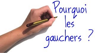 Pourquoi y atil des gauchers [upl. by Sigvard]