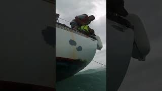 Man and dog rescued coastguard rescue dogs hurricane helene florida [upl. by Aryam]