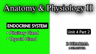 PITUITARY GLAND  THYROID GLAND ANATOMY amp PHYSIOLOGY  ENDOCRINE SYSTEM  U4 P2  HAP2  B PHARMA [upl. by Buehrer]