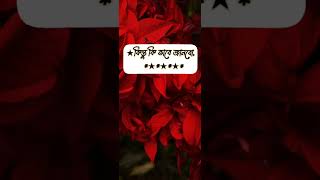 কেমন আছো তুমি অনেক জানতে ইচ্ছে করে kemn acho tumi anek jante icche koretiktok [upl. by Reeta]