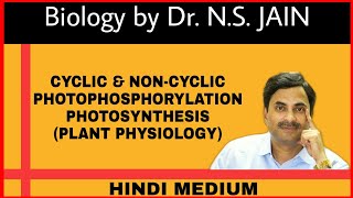 Cyclic amp Non Cyclic Photophosphorylation  Photosynthesis Plant Physiology Hindi Medium [upl. by Tiga190]