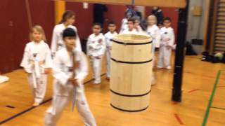 Fastelavn 2014 i Taastrup Taekwondo [upl. by Aramat]