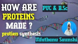 DNA TO PROTEIN  PROTEIN SYNTHESIS  TRANSCRIPTION AND TRANSLATION 💥💥 [upl. by Parent]