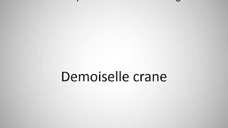 How to say Demoiselle crane in English [upl. by Goodyear]