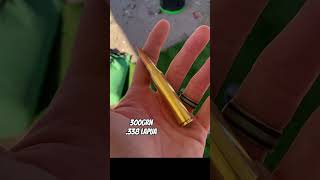 How Powerful is the 338 Lapua longrangeprecision precisionshooting shooting callofduty savage [upl. by Gisser891]