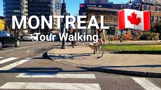 MONTREAL DOWNTOWN WALKING TOUR [upl. by Trainor]