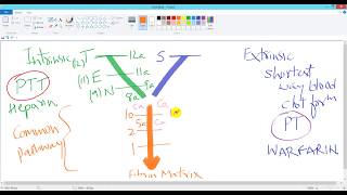 Coagulation Process Easiest Y Diagram and Mnemonic for Intrinsic Extrinsic and Common pathways [upl. by Oringas]