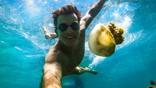 The BEST snorkelling in Perth Omeo Shipwreck [upl. by Yngad943]