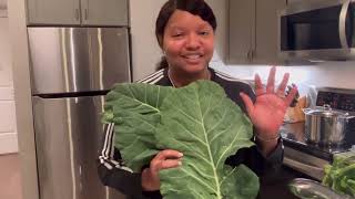 GIANT Collard Greens 🥬 [upl. by Ahsiekyt519]