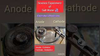 Electrolysis reaction of salty water Graphite rod vs Iron nail  🌹♥️🙏electrolysis shortsfeed yt [upl. by Sol]