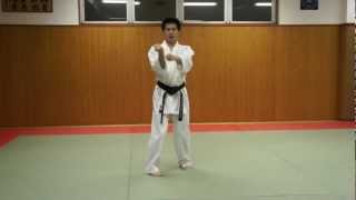 Karate purple belt kata demonstration [upl. by Nujra740]