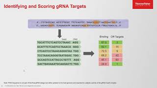 Simplified Online Tools for CRISPR Cas9 Gene Editing Design and Confirmation [upl. by Oiramd]