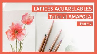 Como usar los lápices acuarelables Parte 2 [upl. by Akeimat]