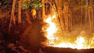 EARLY ARRIVAL Brush Fire Dozer Operations Jackson New Jersey 101824 [upl. by Bosson]