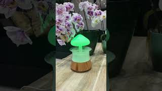 Humidificateur d’air Champignon [upl. by Mercedes702]