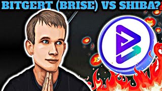 BITGERT BRISE AKAN LAMPAUI SHIBA INU ⁉️ BITGERT BRISE NEWS TODAY ‼️ [upl. by Hsirap]