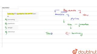 Tube dwelling polychaetes are known as [upl. by Remy]