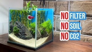 🎋 Building a Lucky Bamboo Aquarium  Betta Fish Tank Setup 🐠☘️ [upl. by Scandura]