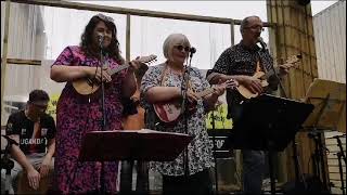 Minnie the Moocher live at Longford Ukulele Céilí Céilí [upl. by Cormier]