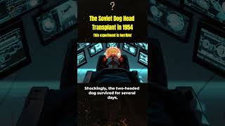 The Soviet Dog Head Transplant in 1954  This Eperiment is Horrible  Top Questions [upl. by Amorita]