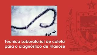 Técnica Laboratorial de Coleta para o Diagnóstico de Filariose [upl. by Ylahtan497]