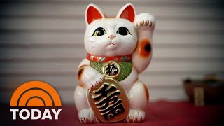 What’s The Story Behind Japan’s Lucky Cats [upl. by Ennovihc150]