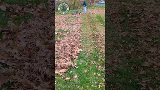 Mulching Leaves with my Lawn Mower [upl. by Feltie]