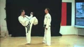 YouTube Taekwon Do Fehrer Ein Schritt Kampf [upl. by Yrrak]