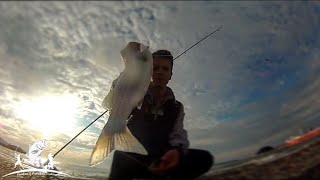 Levrek Avı  Sea Bass Spinning Fishing Marmara [upl. by Flynn564]