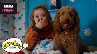 Waffle the Wonder Dog Song Compilation  CBeebies [upl. by Teyut383]