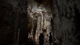 Natural Bridge caverns 👍 [upl. by Nefets522]