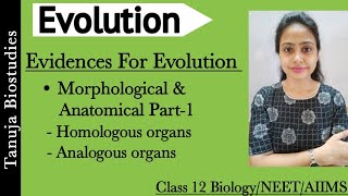 Evidences of Evolution  Morphology and Anatomical Evidences  Part1  Class 12 BiologyNEETAIIMS [upl. by Ahsima959]