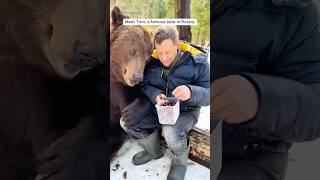 A bear cub was rescued and then became a long life companion shorts [upl. by Ethbin]