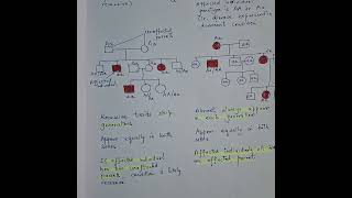 How to Analyze Pedigrees Genetics amp Ancestry [upl. by Brockwell]