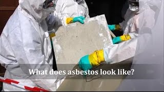 What does asbestos look like [upl. by Sillert]