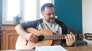 Renan Luce  la lettre guitar cover [upl. by Ennaitsirk478]