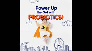 Bifidobacterium lactis  Helps maintain a Healthy Digestive System  40s [upl. by Noach880]