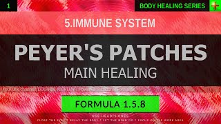 158 🎧 Healthy Peyers Patches Intestinal Immunity EXTREMELY DEEP HEALING Resonant Subliminal [upl. by Maegan]