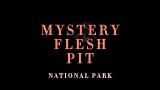 The MYSTERY FLESH PIT NATIONAL PARK Documentary [upl. by Fredric]